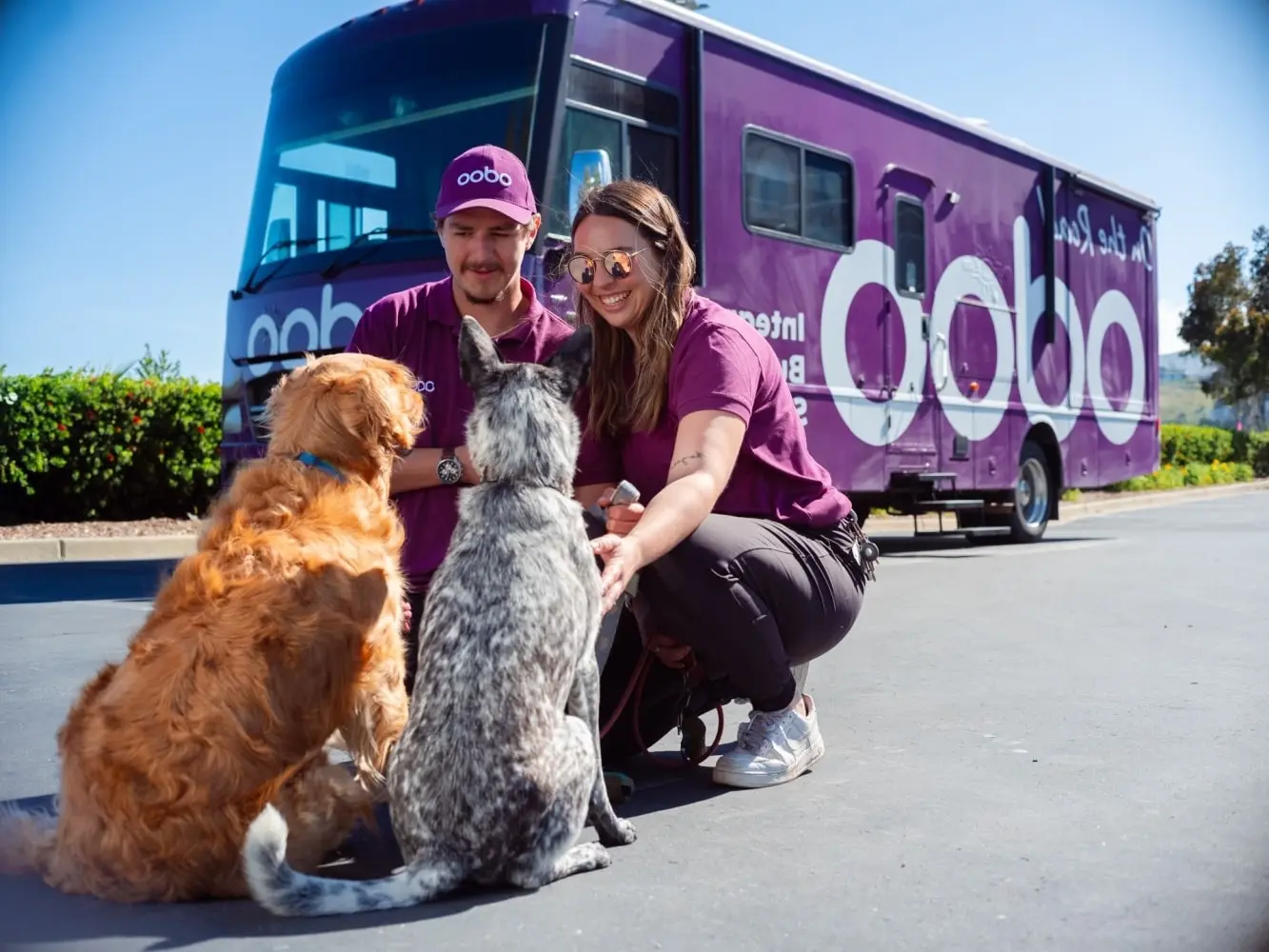 Odoo employees in front of the Odoo RV